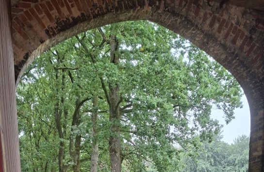 (vergroot foto)