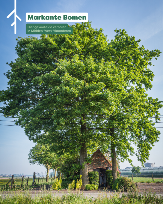  (vergroot foto)